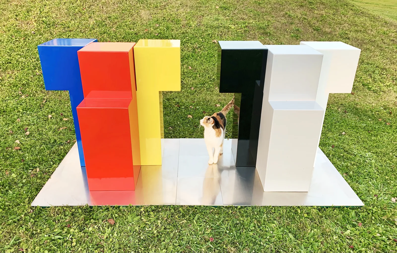 A cat standing near Color and Form.